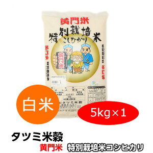  5kg   RVqJ Ђ  ʍ͔|  5kg ߘa7NY Mtg 錧    ̓
