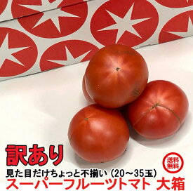 訳あり お試し てるて姫 フルーツトマト スーパーフルーツ トマト 大箱(20～35玉 約2.3kg) とまと 送料無料 茨城 産地直送