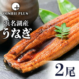 国産うなぎ 特大200g×2尾セット 4人前 特大サイズ約30センチ うなぎ長焼き 蒲焼き 脂たっぷり 冷凍 ギフト 浜名湖産 国産 プレゼント 1箱に1尾を2セット たれ サンショウ付き 化粧箱入り 土産 夏ギフト 冬ギフト お歳暮 御年賀 お中元 土用の丑の日 送料無料 おいしいプラス