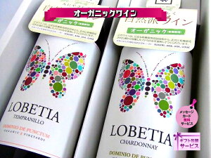 ���Ε� �N���X�}�X �I�[�K�j�b�N���C�� �I�[�K�j�b�N �I�[�K�j�b�N���C���Z�b�g ���C�� �Z�b�g �M�t�g �������� �v���[���g �����p �Ԕ� �ʔ� 2�{ ���j �a���� ���� �����j �y���x�e�B�A ��