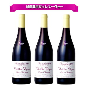 y\z  {W[ {W[k[{[ 2025 Zbg C CZbg Mtg  ԃC Rh _ ō {W[k[H[ sG[E}[EVFbg L