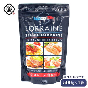  tXY [k≖ 500g × 1 X^hpE` 炳^Cv n≖  H VR̊≖w (tXE[knY) COY 