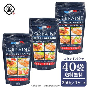  tXY [k≖ 250g × 1P[X(40) X^hpE` 炳^Cv n≖  H VR̊≖w (tXE[knY) COY 