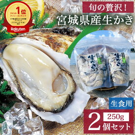 宮城県産 生かき 生食用牡蠣 むき身 500gセット（冷蔵配送） 牡蠣 冷蔵 ふるさと納税 人気 生食 生食用 カンカン焼き 取り寄せ あたらな オイル オイル漬け お取り寄せ 瓶 国産 食べ比べ 定期 広島牡蠣にも負けない美味しさ 宮城県 蒸し かき カキ【11月～2月】