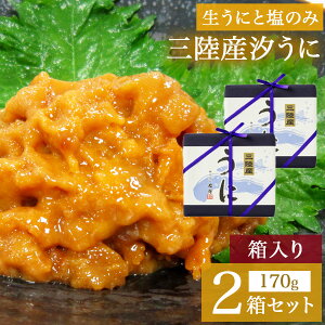 三陸産汐うに(箱入)170g×2個セット 塩水 瓶 冷凍 ミョウバン不使用 瓶詰め おつまみ 国産 三陸 ウニ 塩漬け 雲丹 ふるさと納税 人気 バター パスタ