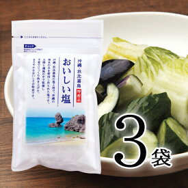 おいしい塩 日本自然発酵 1袋100g×3袋1箱入り調味料 塩 沖縄 海水