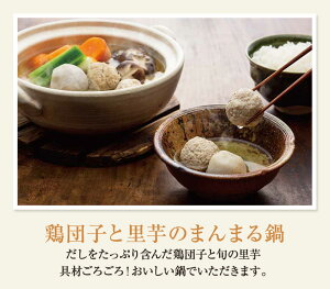 おいしい鶏だし360ml鹿児島県産の鶏を使用隠し味に白醤油と本みりん旨味たっぷり出汁鍋料理、だし巻き卵、炊き込みご飯、茶碗蒸し、唐揚げにも【RCP】