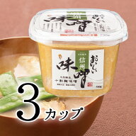 SS期間P10倍★おいしい味噌 750g 3カップ信州味噌 味噌 みそ 国産大豆 生味噌 美味しい味噌 麹味噌 お味…