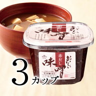 SS期間P10倍★おいしい赤だし味噌 750g 3カップ赤みそ 赤だし 味噌 美味しい 天然醸造 八丁味噌 赤味噌 …