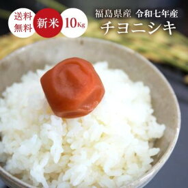米 10Kg 送料無料 無洗米【福島県産 チヨニシキ 10Kg】お米 玄米 白米 こめ コメ 精米 令和七年産 ギフト お歳暮 お中元 《沖縄・離島は送料無料ライン対象外》