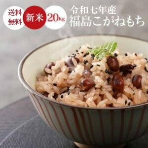 V   20Kg  yY ˂ 20Kgz    `  R  ߘaNY skCEBEE͑CΏۊOt