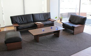 PIANURA Ottoman Y 啪 c  Ƌ   asahi ATq؍H
