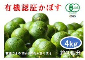 お早めにご注文を！【11/30まで発送終了】大分県産 無農薬・無添加・オーガニック 有機かぼす4kg 【かぼす】　かぼす青果