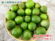 あったらラッキー！加工用オーガニック原料かぼす　4kg
