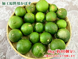 あったらラッキー！加工用オーガニック原料かぼす　4kg
