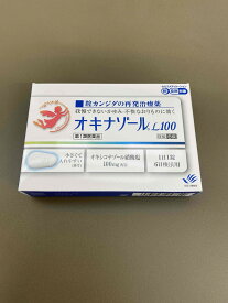 【第1類医薬品】オキナゾールL100