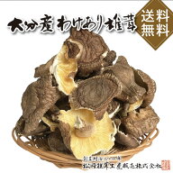 【送料無料】大分産 原木 訳あり しいたけ 160g 管理不足でごめんなさい！ちょっと訳あり 乾しいたけ ご…
