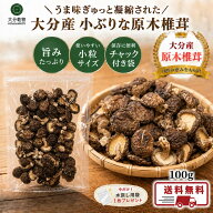 干し椎茸 しいたけ問屋メーカー直販価格 産地直送 大分産 原木 小ぶりな椎茸 100g しいたけ 干ししいたけ…