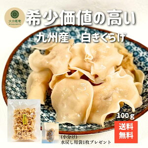 YҒ̉i Yn BY 炰 100g _ 炰  ߂ܕt  Yn 啪  Y NH