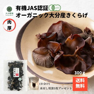 YҒ̉i Yn 啪Y L@ 炰 300g L@͔| _ I[KjbN 炰L@  ߂ܕt  Yn 啪  Y NH