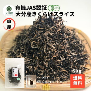 YҒ̉i Yn 啪Y L@ 炰XCX 50g L@͔| _ I[KjbN  ߂ܕt  炰 炰L@ Yn 啪  Y NH