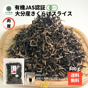 YҒ̉i Yn 啪Y L@ 炰XCX 500g L@͔| _ I[KjbN 炰L@   炰 Yn 啪  Y e Ɩp NH