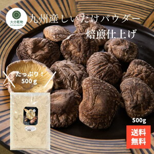 ≮[J[̉i Yn BY  pE_[ dグ 500g    ő  pE_[ \  M 