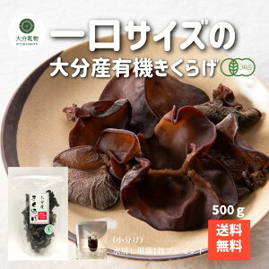 YҒ̉i Yn 啪Y L@ TCY 炰 500g L@͔| _ I[KjbN 炰L@   Yn 啪  Y TCY e Ɩp NH