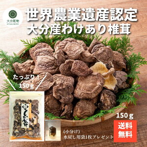 yyVX[p[Z[10OFFz ≮[J[̉i Yn 啪Y  󂠂ő 150g  ő  󂠂 E_ƈY p  Yn 啪