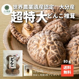 しいたけ問屋メーカー直販価格 産地直送 大分産 原木 どんこ椎茸 80g しいたけ 干し椎茸 干ししいたけ 厚肉 世界農業遺産 こだわり どんこ 送料無料 戻し袋付 産地直送 大分乾物 乾物 国産 健康食材