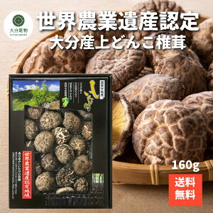 ≮[J[̉i Yn 啪Y  ǂ񂱒őMtg 160g  ő  Mtg őMtg   ̂ E_ƈY 啪 