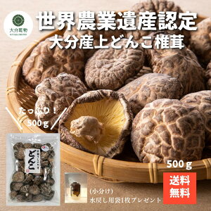 ≮[J[̉i Yn 啪Y  ǂ񂱒ő 500g  ő    E_ƈY   啪 Yn   Y