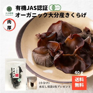 y1000~|bLz YҒ̉i Yn 啪Y L@ 炰 40g L@͔| _ I[KjbN 炰L@  ߂ܕt  Yn 啪  Y NH