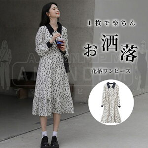 s[X fB[X ꂢ JWA t H 傫TCY  tA ԕ ؍ 30 40 50