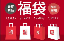 【在庫限り】福袋 2026 レディース AMANDEPM 春 1点 ニット セーター パーカー 可愛い セットアップ パジャマ セーター ワンピース アウター スカート カジュアル 韓国風 新春 秋 冬 ナチュラル カジュアル 服 春夏 秋冬 大人 流行 トレンド「返品・交換不可」