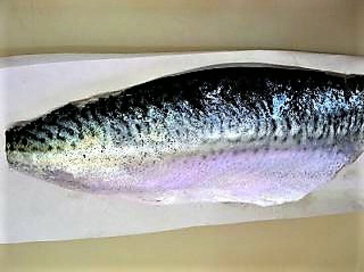 楽天市場 冬はさば 夏はアジが旬 佐多岬天然一本釣りの新鮮な関さばor関アジの片身ブロックで 寿司屋 居酒屋様歓迎 ご自分でスライスして下さい 大分県物産館 楽天市場 冬はさば 夏はアジが旬 佐多岬天然一本釣りの新鮮な関さばor関アジの片身ブロックで 寿司屋 居酒屋様歓迎 ご自分でスライスして下さい 大分県物産館