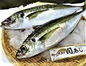 関アジ 魚の人気商品 通販 価格比較 価格 Com