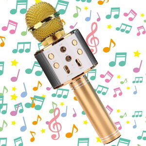 yA^CLO1ʊlz_qɑlC^JIP}CN ƒp bluetooth u[gD[X CX}CN Xs[J[ USB[d mCYLZO {CX`FW {[J