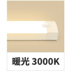 yr[1Nۏ؁zZT[Cg   20cm LED l [d ^ ^    tbgCg  퓔 Ki ԃCg Ɩ  L uPbgCg h N[[