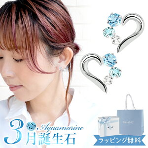 y{ρ܁z4°c sAX hV[ Ki fB[X 3a a n[g`[t canal4 4hV[ 4x 4c ANA} gp[Y Vv K10zCgS[h j ΂M