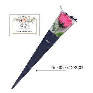  oXtOX@\[vt[  [Y u[Pyv`Mtgz ΂Mtg