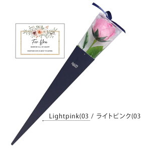  oXtOX@\[vt[  [Y u[Pyv`Mtgz ΂Mtg