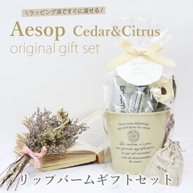 イソップ リップトリートメント ギフトセット ハンドタオル エプソムソルト入り ラッピング対応 女性 誕生日 プレゼント 人気