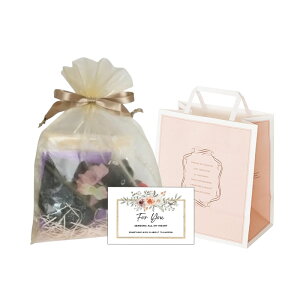 �A�i�X�C ANNA SUI �R���p�N�g�~���[ �� �a���� �v���[���g �M�t�g�yOriginal�z