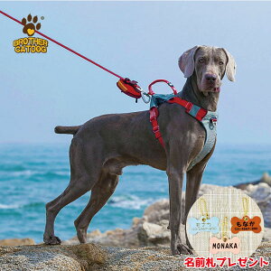 pn[lXy^ ցz  v 傫 i ㎿ v  ^ ^ ԕ db ԍ  qh~ p Lp  q D l[ ^O ybg  D  Mtg 