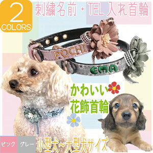 y ԏ F 1F zq   O ԍ  hJ  ^   L   q TCY Mtg t[ bZ[W v[g j  q  IWi    [h 