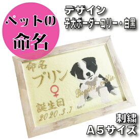 【 ボーダーコリー の 子犬 ペット の 命名刺繍 】犬 ワン ちゃん 猫 オーナー 飼いはじめ お名前 決まりました お知らせ 選べる 内容 かわいい 祝い 額 縁 激安 出産 こどもの日 豪華 妊娠 プレゼント 贈り物 仔犬 赤ちゃん 準備 人気 安い生地