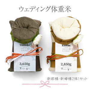  ̏d VYVwZbg uEFfBȌd mv^I ʐ^Ȃ ei  Mtg