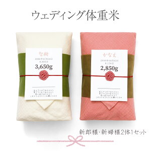  ̏d VYVwZbg uEFfBȌd av^I ʐ^Ȃ ei  Mtg