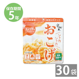 H ۑH hАHZbg HZbg 28iڕsgp AM[ΉbAt@?Hi SĂ(t)R\ 1/51.2g×30(5Nۑ)b~i CX^g ЊQp ۑ